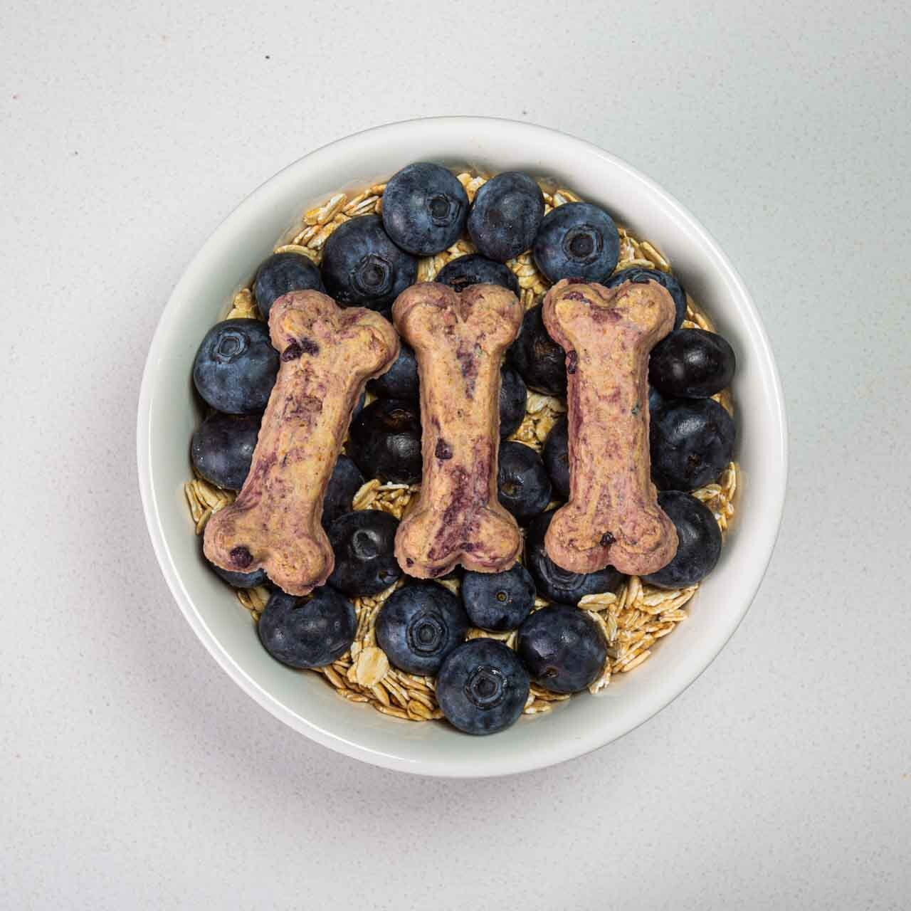 Natural Blueberry & Oatmeal Gourmet Dog Treats 🐾