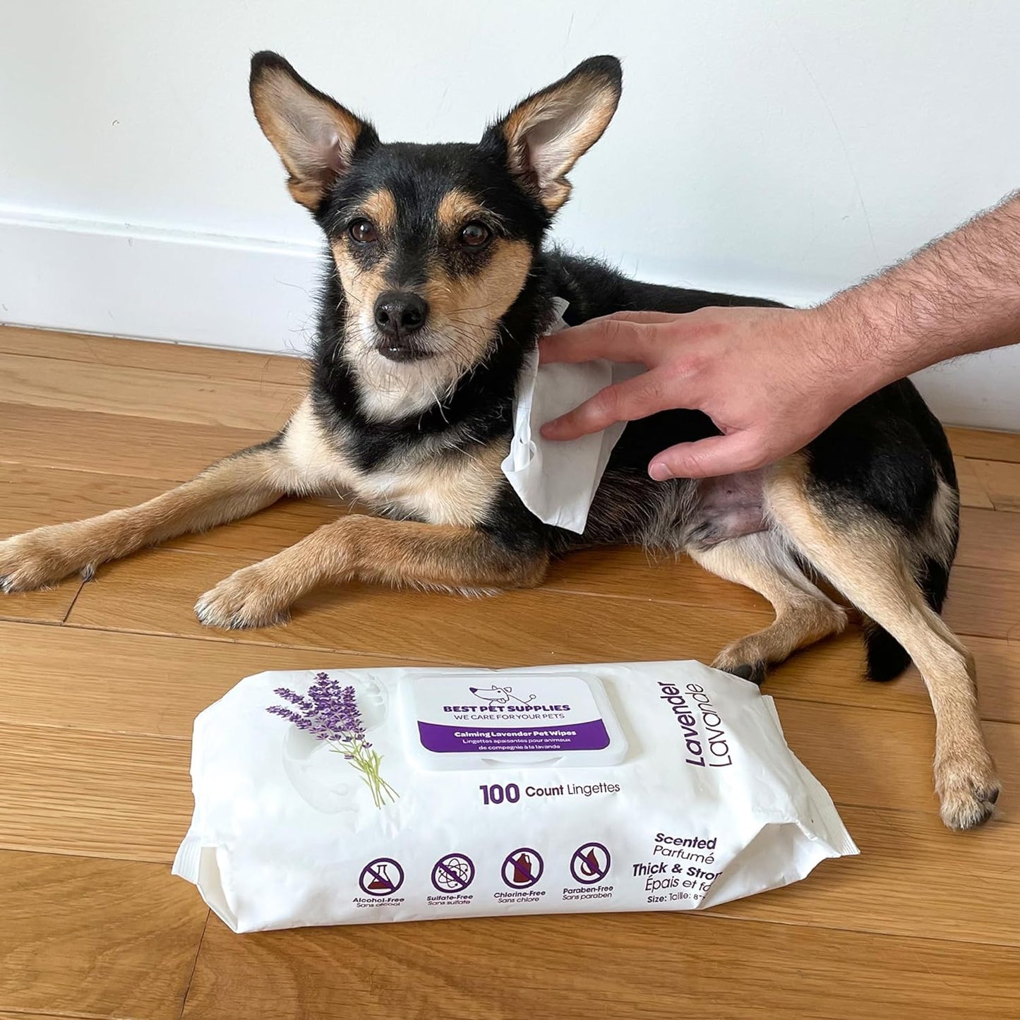 š¾ Natural Lavender Pet Grooming Wipes! š¾ Cotton Plant-Based Chemical-Free Formula š¾ 100-Count Multipurpose
