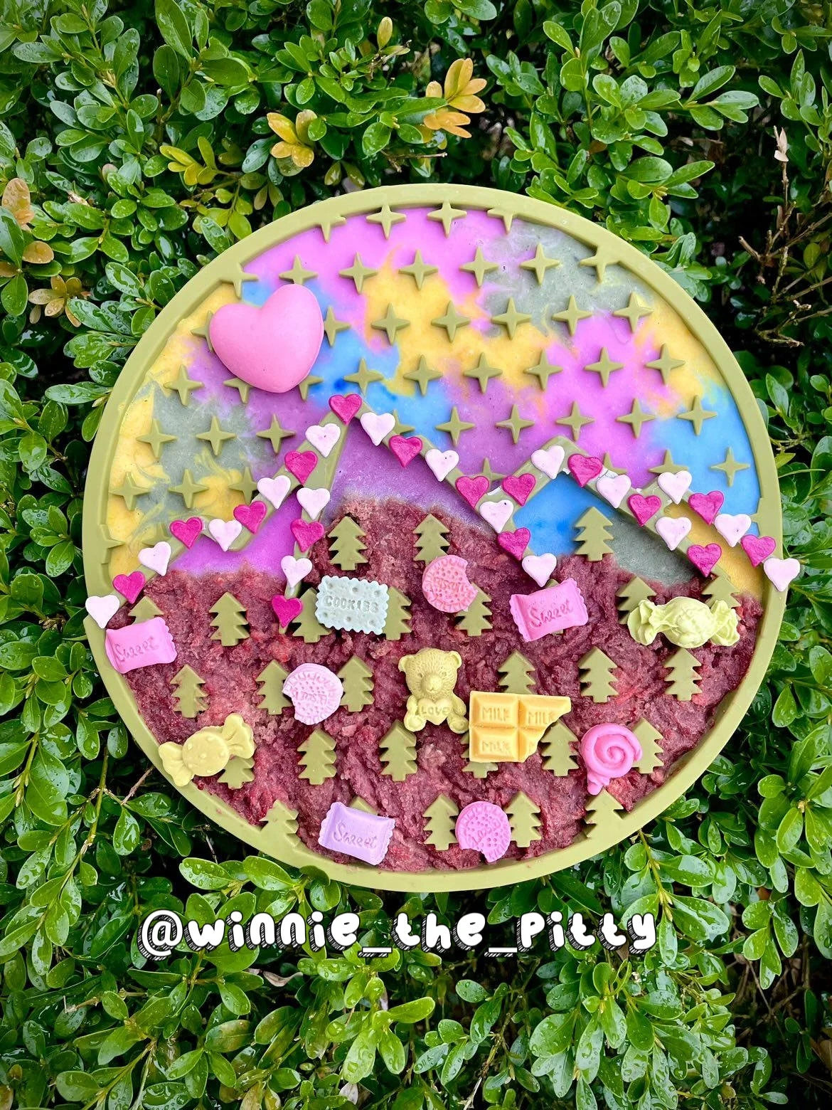 Pet Candy Pop, Nutritious Goat Milk Dog/Cat Treats, Perfect for Enrichment, Toppers, Lickmat, Clean Treats