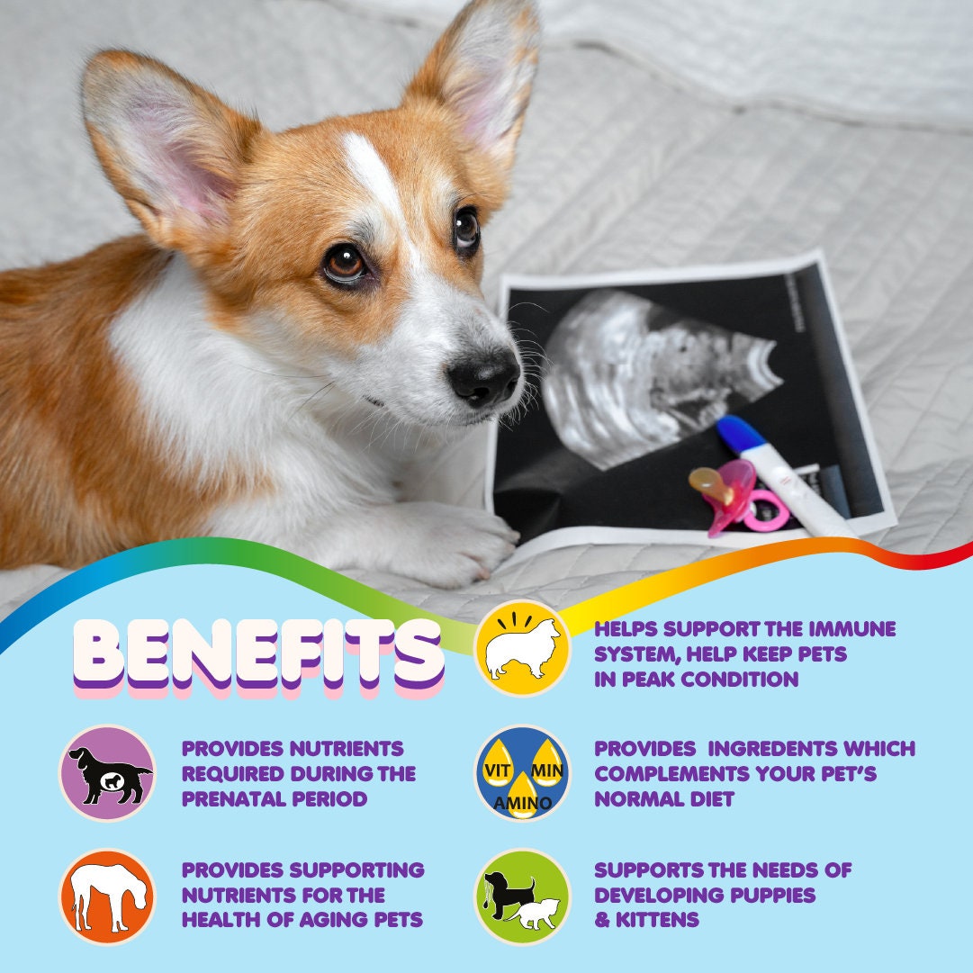 πΎ Multivitamin for Dogs and Cats πΎ