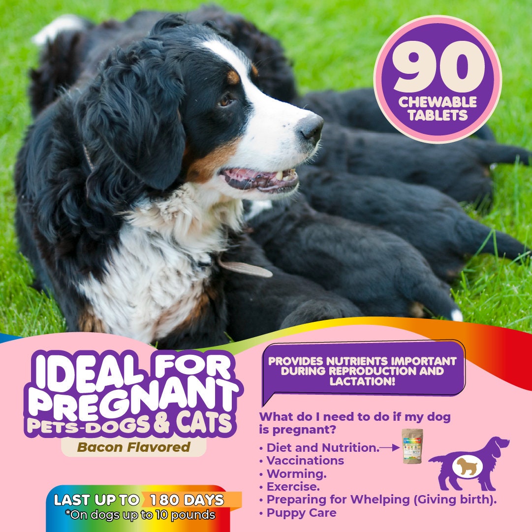πΎ Multivitamin for Dogs and Cats πΎ