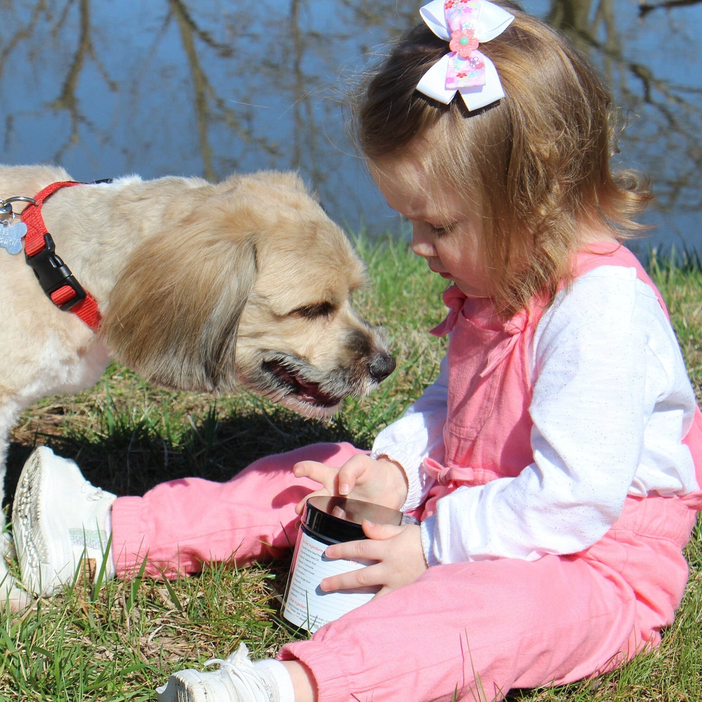 πΎ Calming Hemp Chews for Your Pup! Ease the Anxiety Away!πΏπΆ