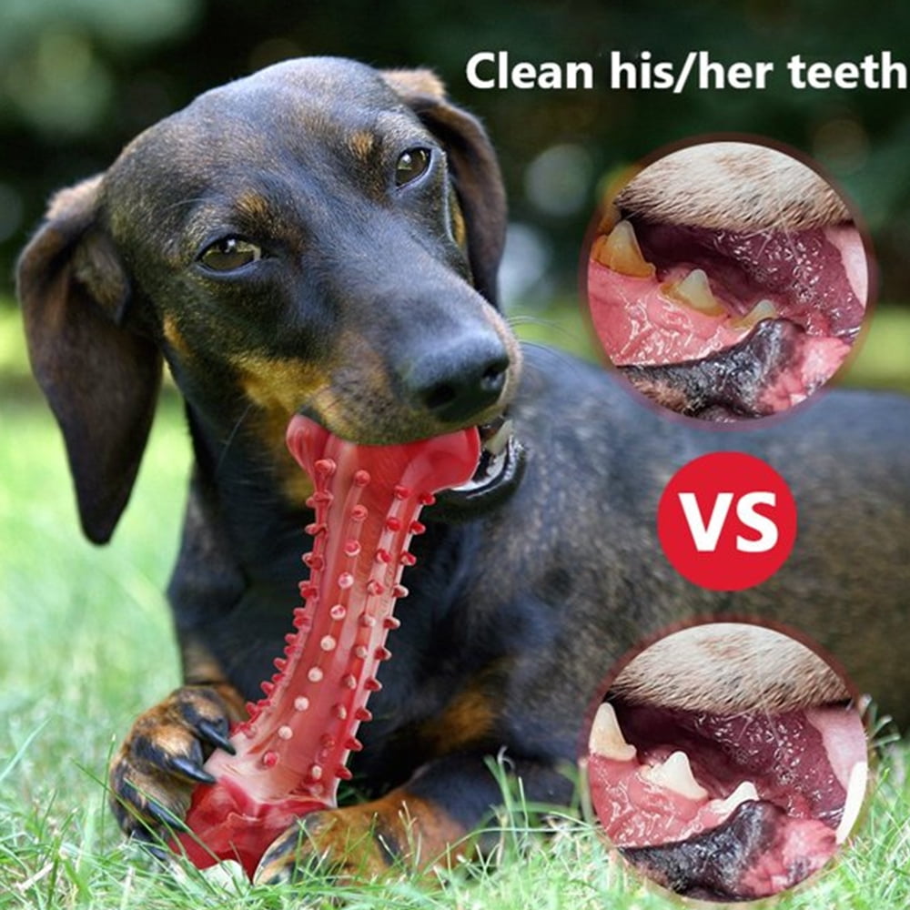 🦴 Durable Rubber Dog Chew Toy: Keep your pup's teeth healthy for large and medium dogs, perfect for aggressive chewers! 🐾