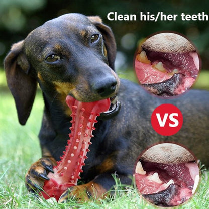 🦴 Durable Rubber Dog Chew Toy: Keep your pup's teeth healthy for large and medium dogs, perfect for aggressive chewers! 🐾